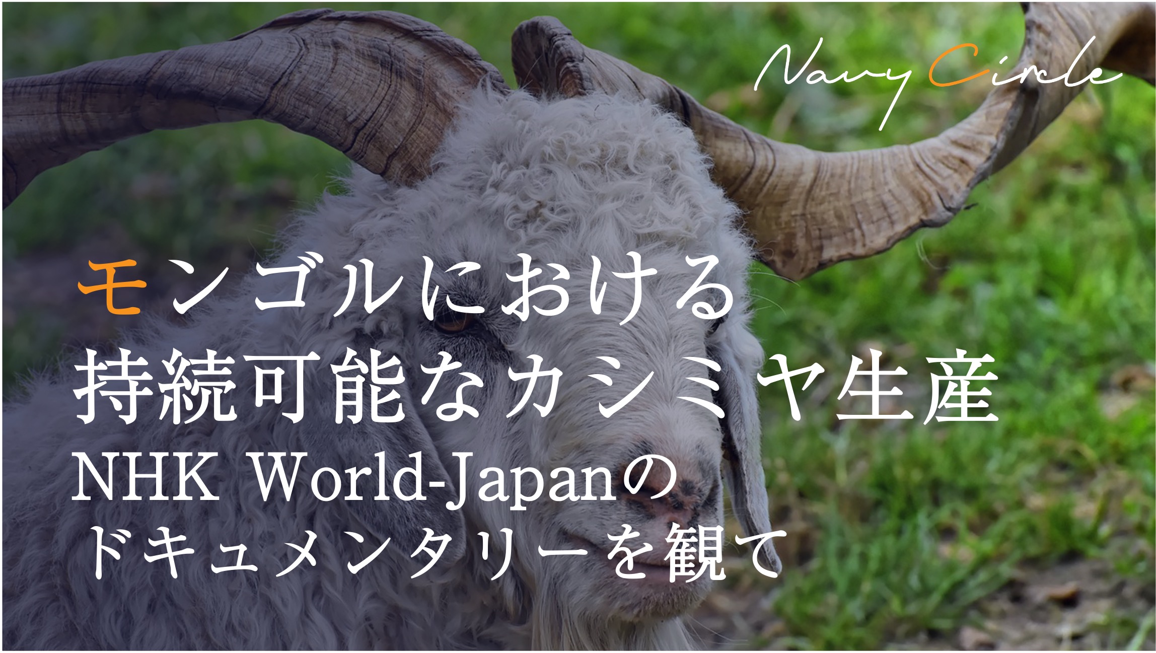 モンゴルにおける持続可能なカシミヤ生産 - NHK World-Japanのドキュメンタリーを観て | Sustainable sourcing of cashmere fleece