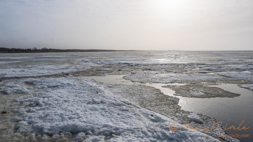 冬にはビーチに流氷が押し寄せます